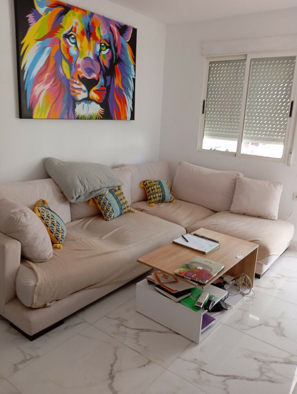 Ground Floor Apartment Torrevieja Alicante - image 9