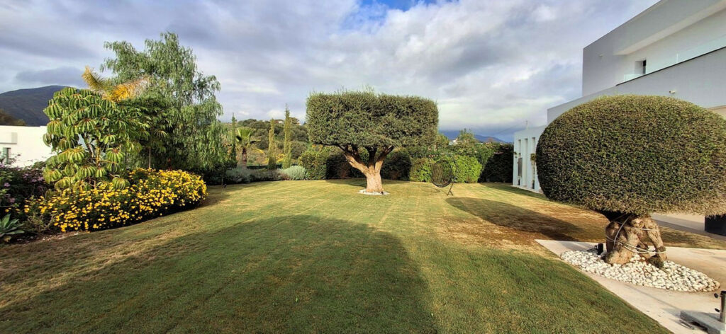 Detached Villa Mijas Costa Málaga - image 26