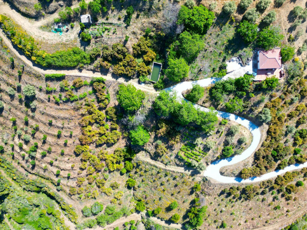 Finca - Cortijo Canillas de Albaida Málaga - image 26