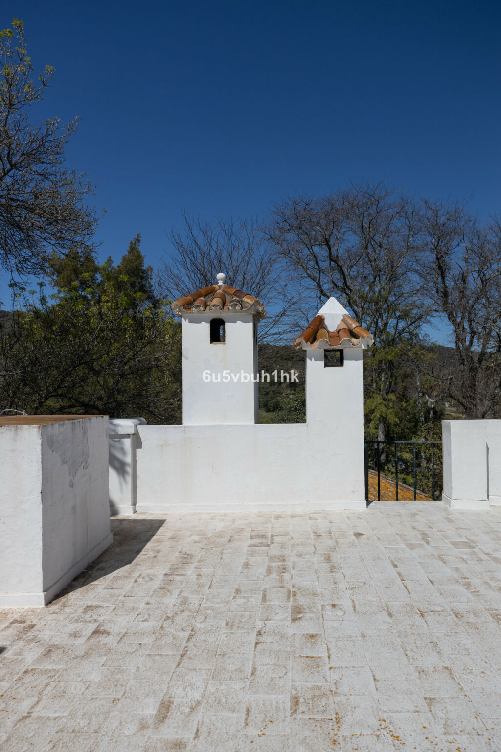 Finca - Cortijo Jimena de la Frontera Cádiz - image 26