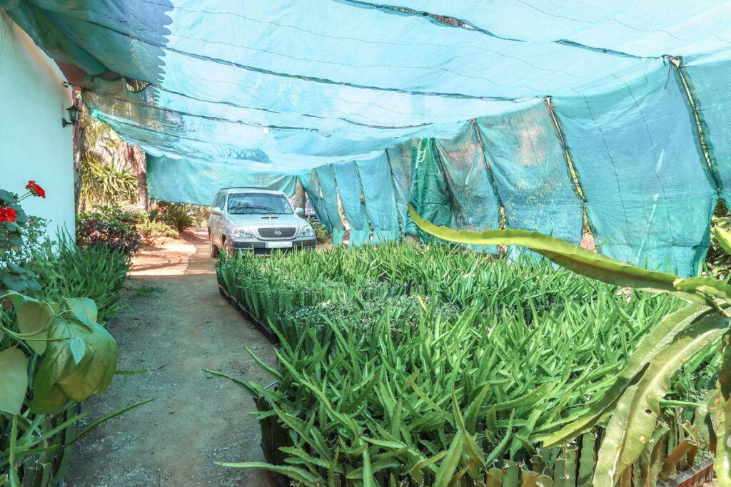 Farm Monda Málaga - image 26