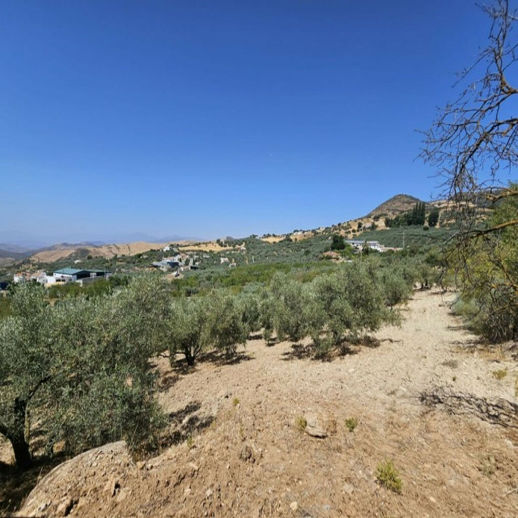 Finca - Cortijo Villanueva De La Concepcion Málaga - image 26