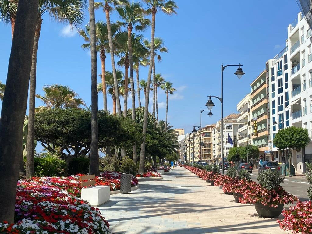Ground Floor Apartment Estepona Málaga - image 26
