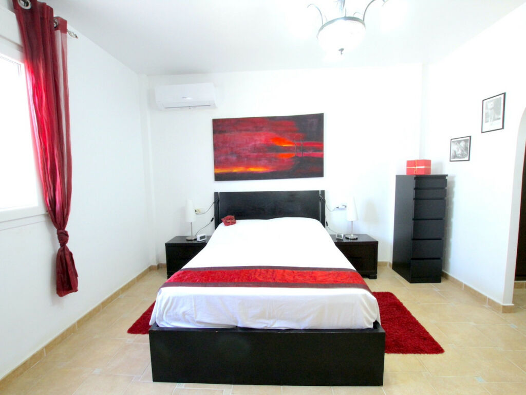 Detached Villa Algorfa Alicante - image 27
