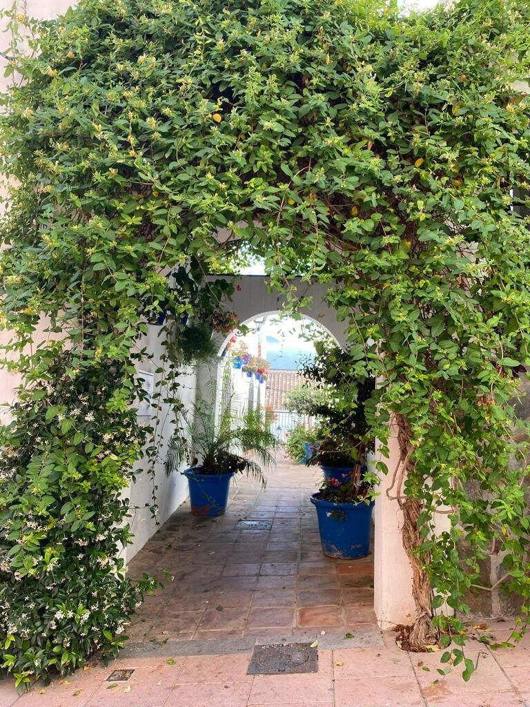 Ground Floor Apartment Estepona Málaga - image 27