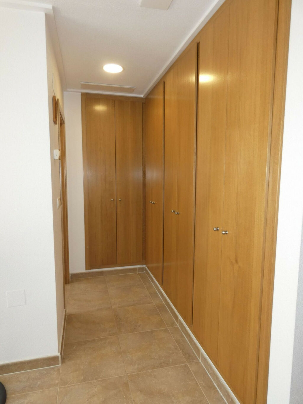 Detached Villa Bigastro Alicante - image 27