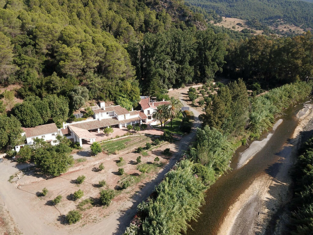 Finca - Cortijo Gaucín Málaga - image 27