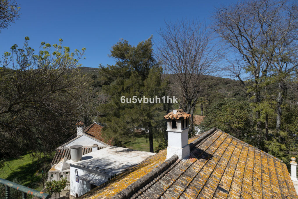 Finca - Cortijo Jimena de la Frontera Cádiz - image 27