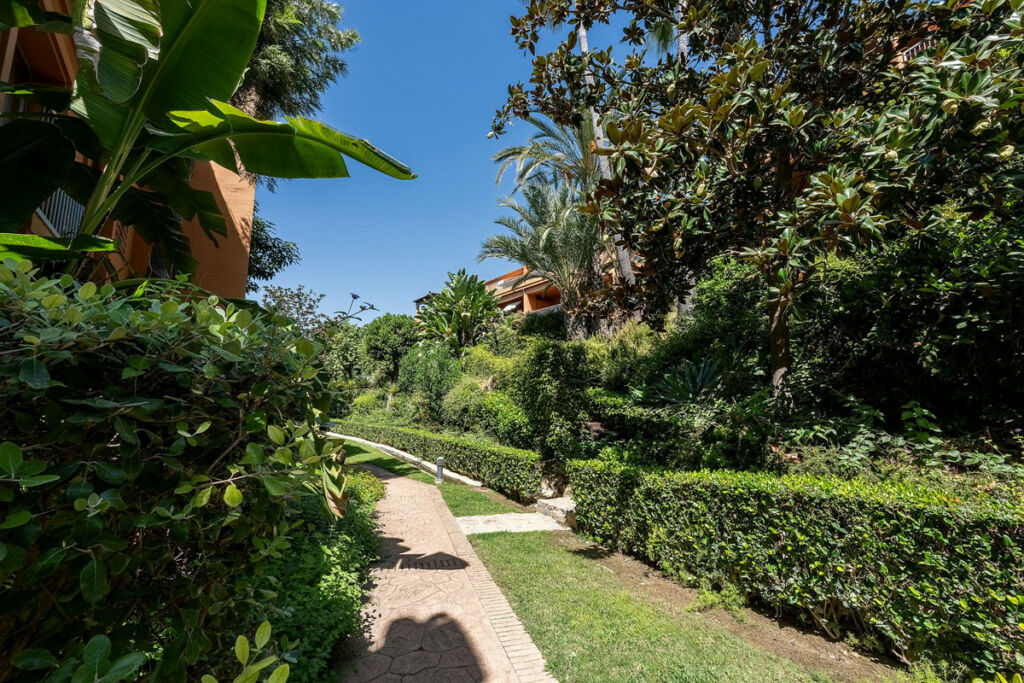 Ground Floor Apartment Estepona Málaga - image 27