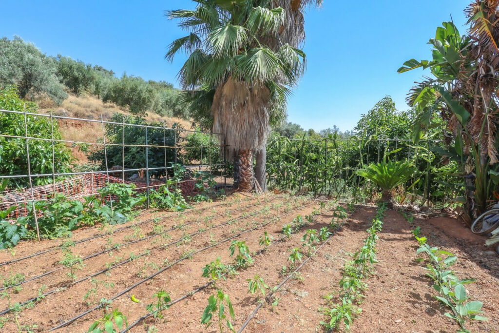 Farm Monda Málaga - image 27