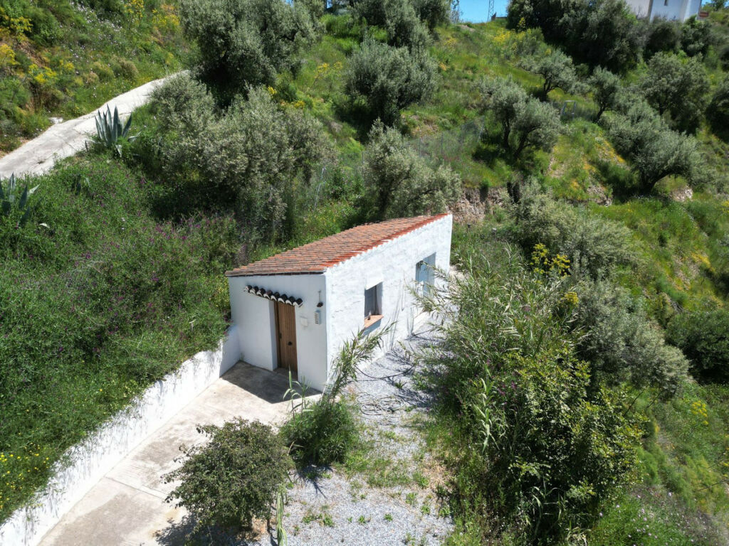 Detached Villa Sedella Málaga - image 28