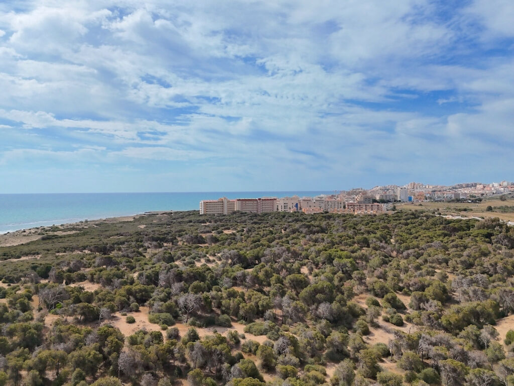 Ground Floor Apartment Guardamar del Segura Alicante - image 28