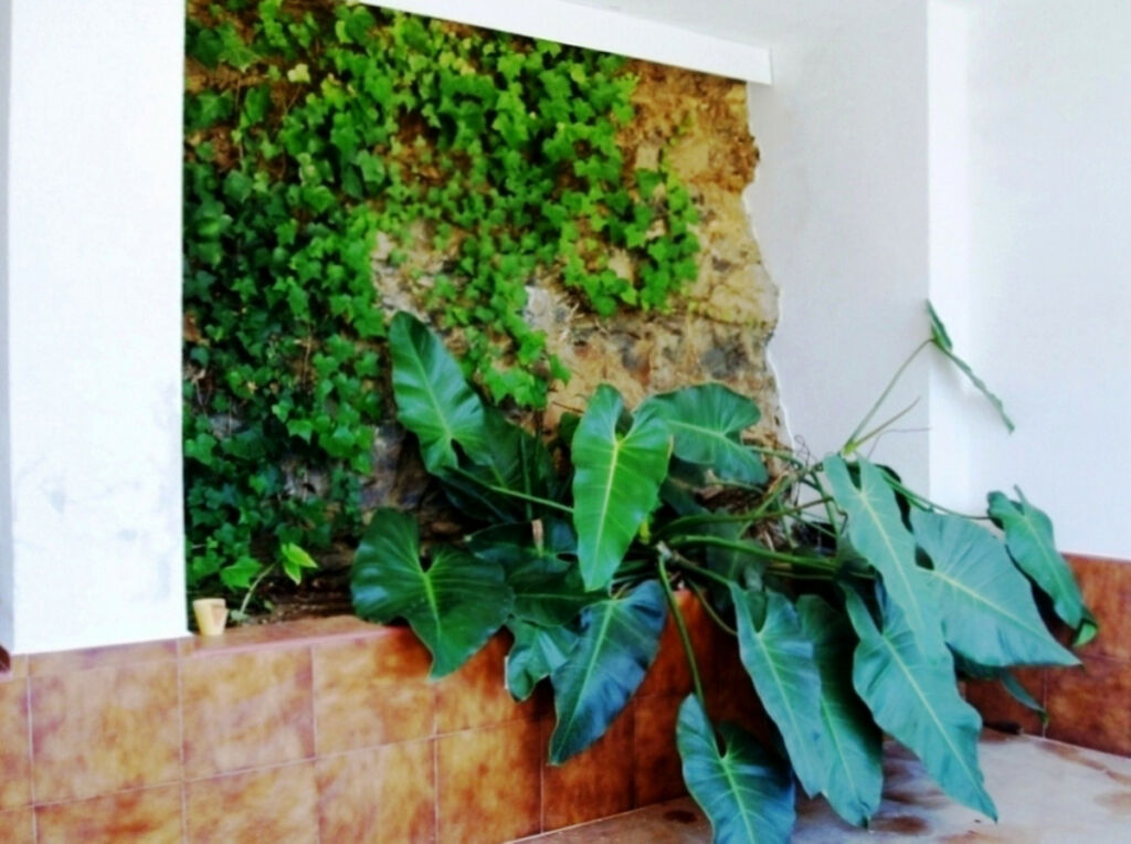 Detached Villa Mijas Málaga - image 28