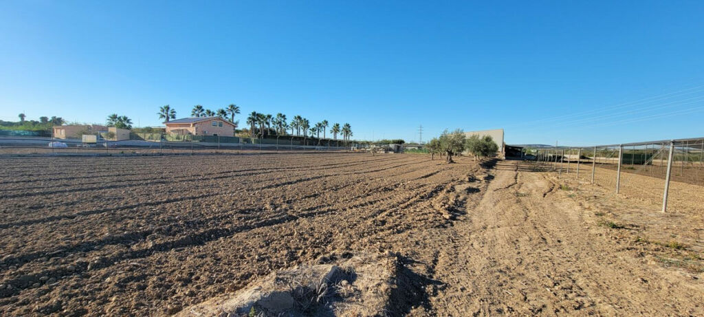 Finca - Cortijo San Miguel de Salinas Alicante - image 28