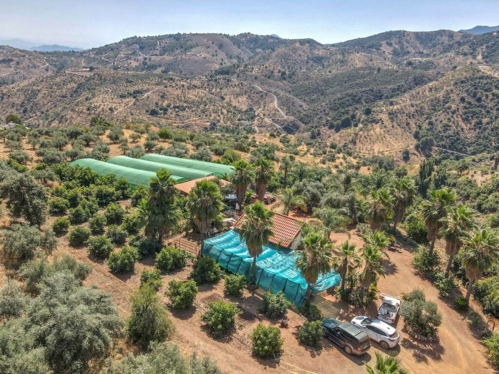 Farm Monda Málaga - image 28