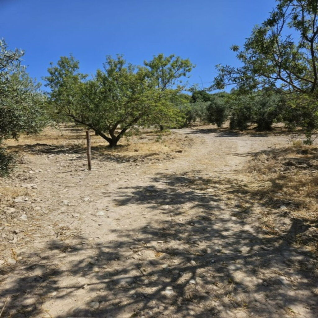Finca - Cortijo Villanueva De La Concepcion Málaga - image 28
