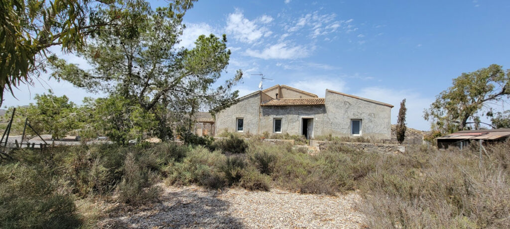 Finca - Cortijo Torremendo Alicante - image 28