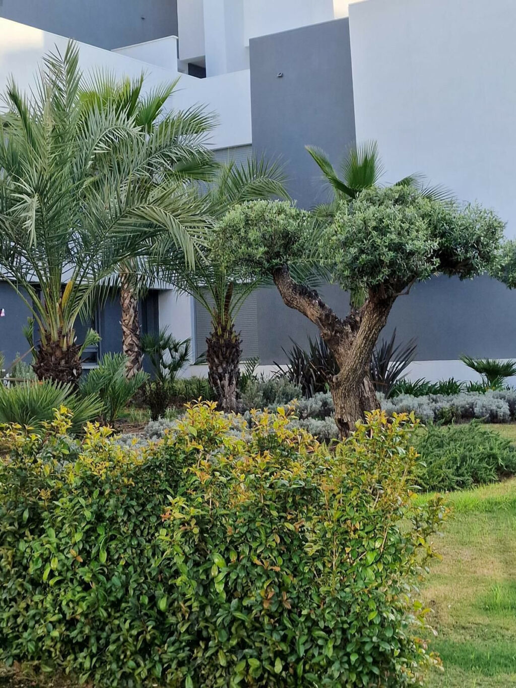 Penthouse Selwo Málaga - image 28