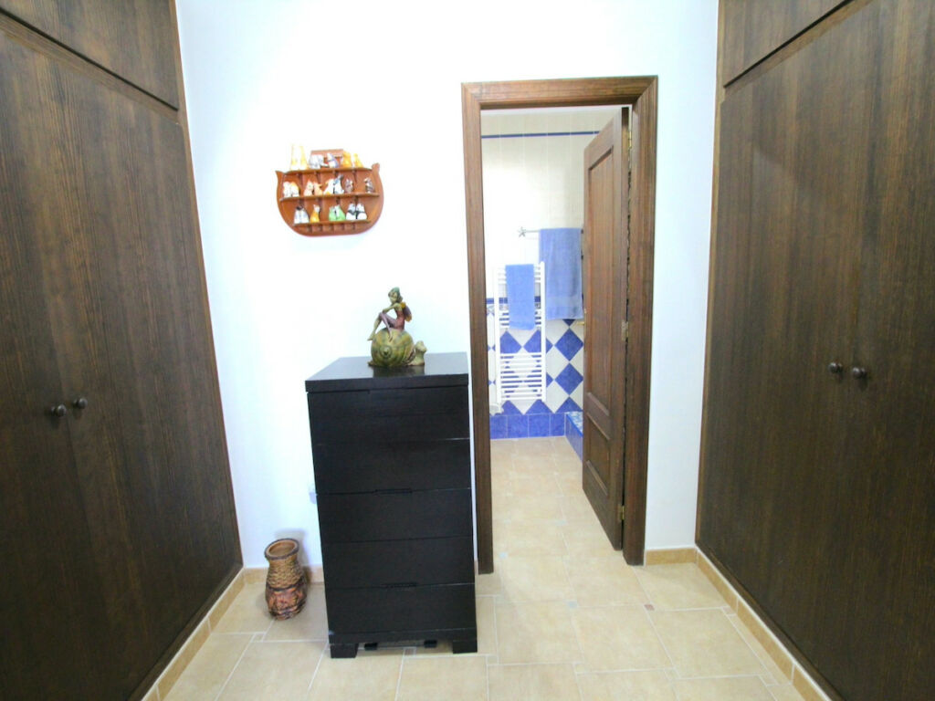 Detached Villa Algorfa Alicante - image 29