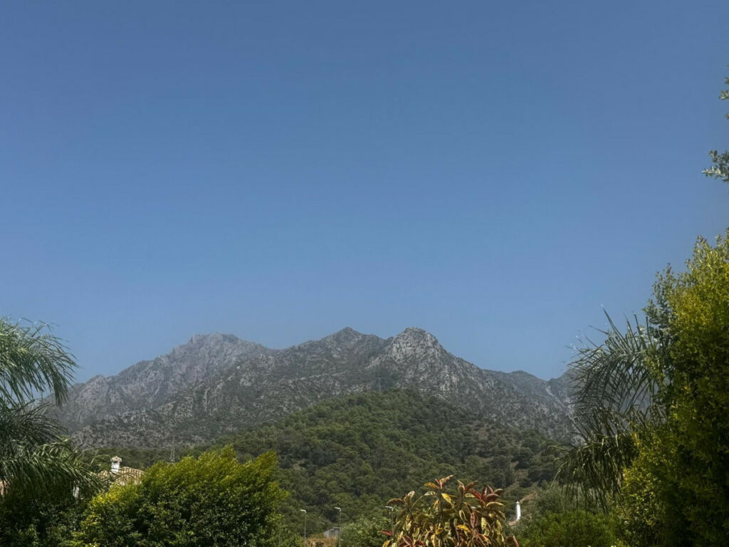 Detached Villa Marbella Málaga - image 29
