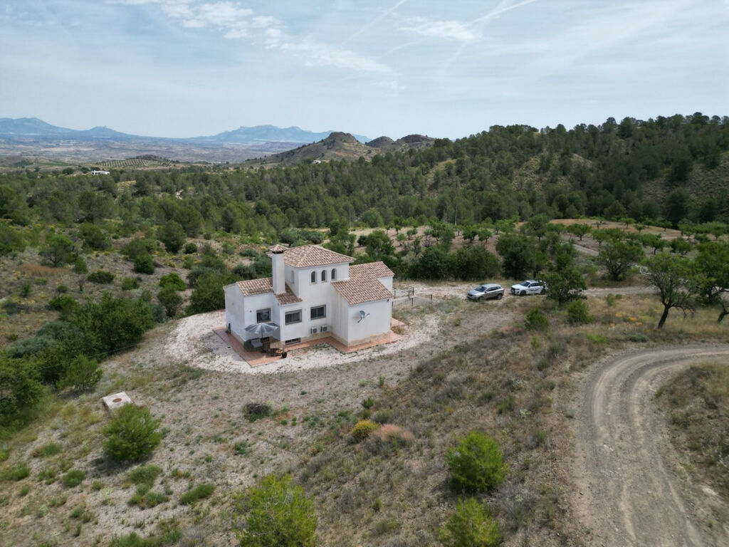 Detached Villa Lorca Murcia - image 29