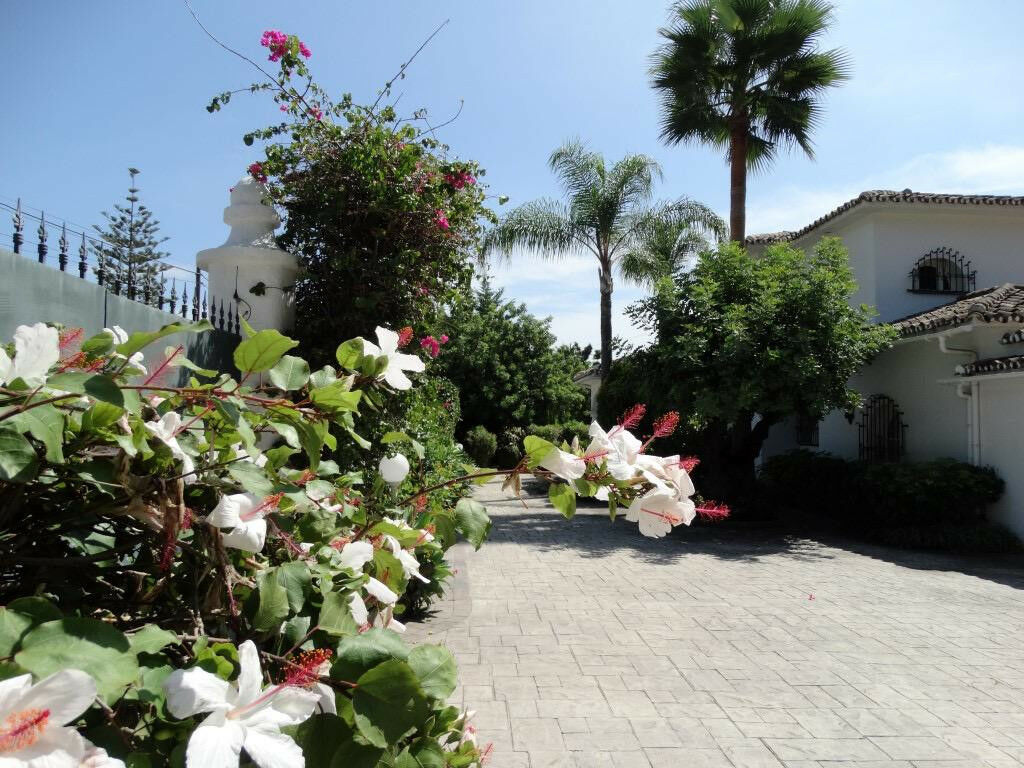 Detached Villa Sierra Blanca Málaga - image 29