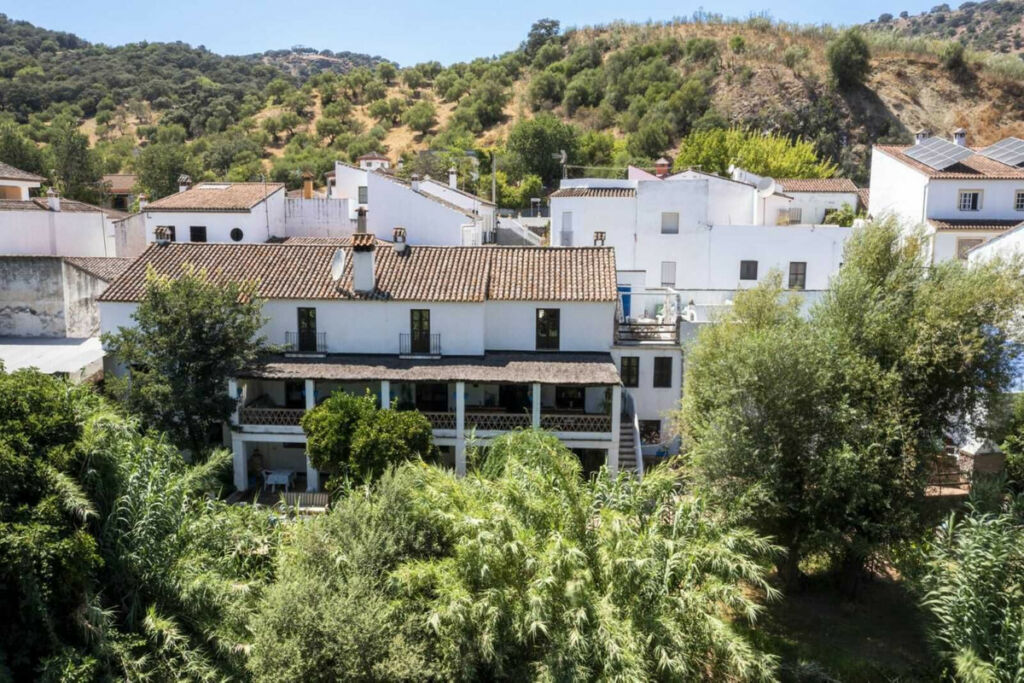 Detached Villa Cortes de la Frontera Málaga - image 29