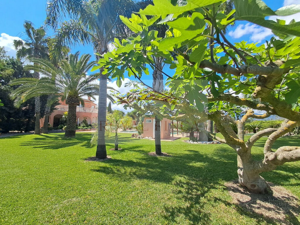 Detached Villa Sanet y Negrals Alicante - image 29