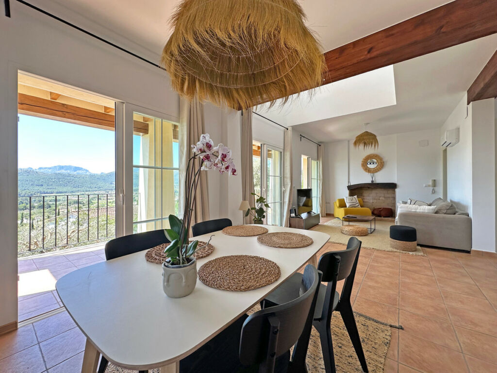 Detached Villa Jalon Alicante - image 29