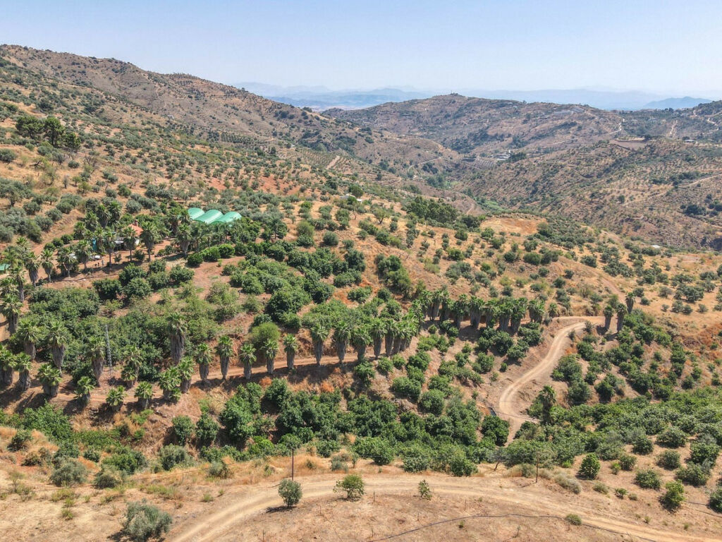 Farm Monda Málaga - image 29