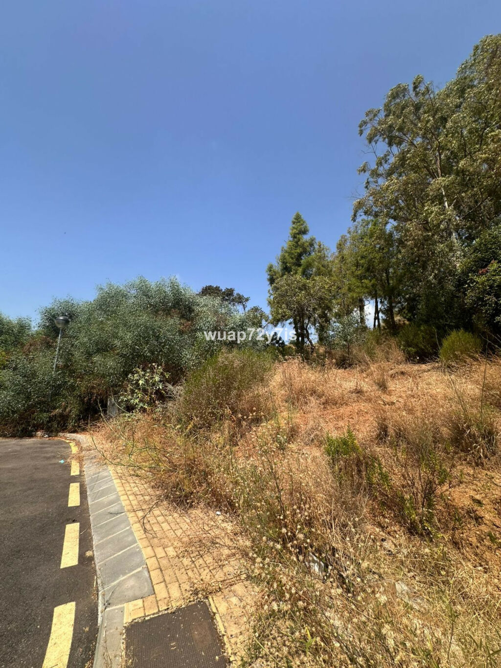 Residential Plot Estepona Málaga - image 3