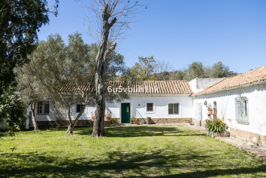 Finca - Cortijo Jimena de la Frontera Cádiz - image 3