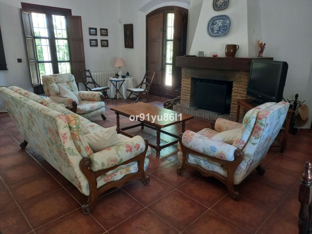 Finca - Cortijo Casares Málaga - image 3