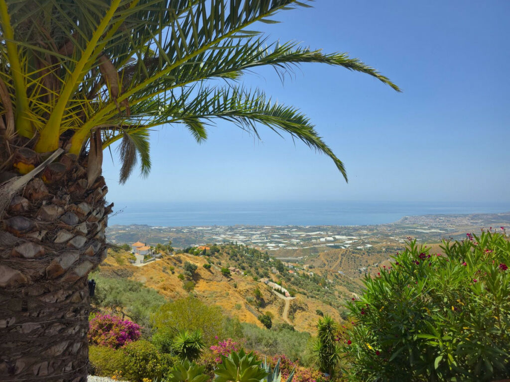Detached Villa Arenas Málaga - image 2