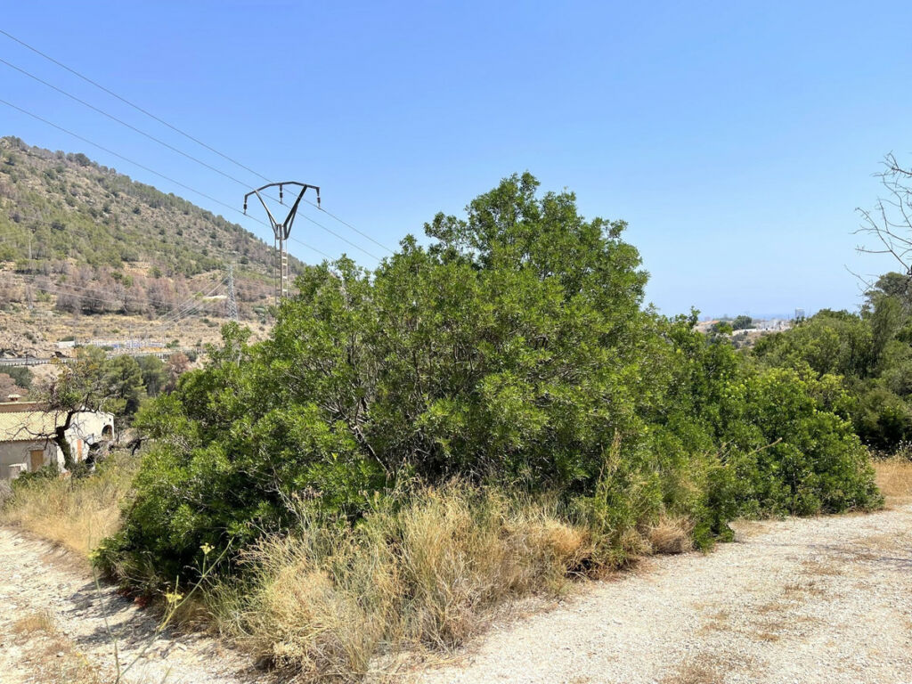 Residential Plot Calpe Alicante - image 3
