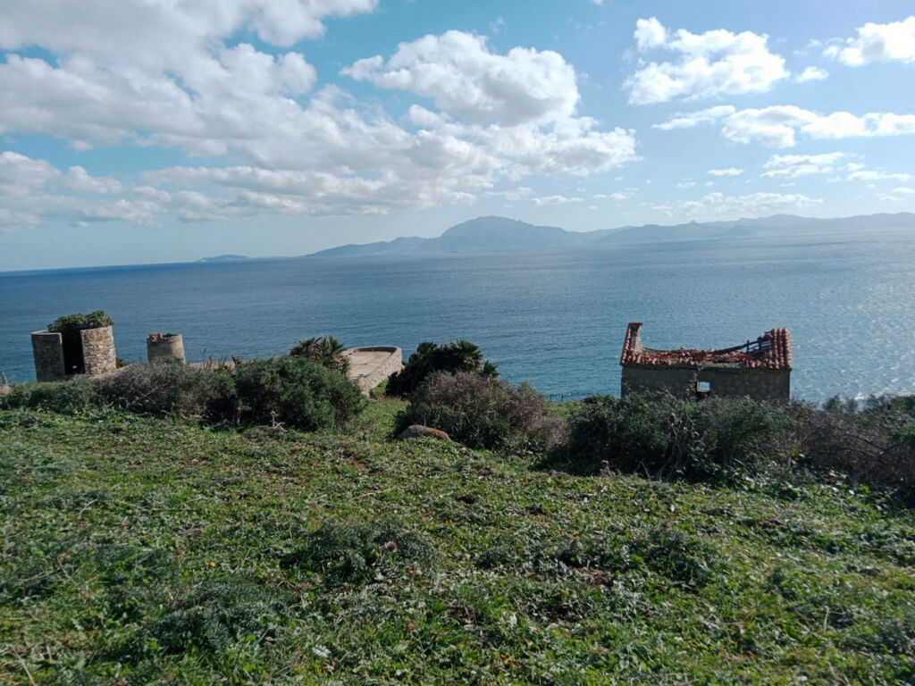 Land with Ruin Tarifa Cádiz - image 3