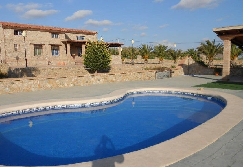 Detached Villa Aspe Alicante - image 3