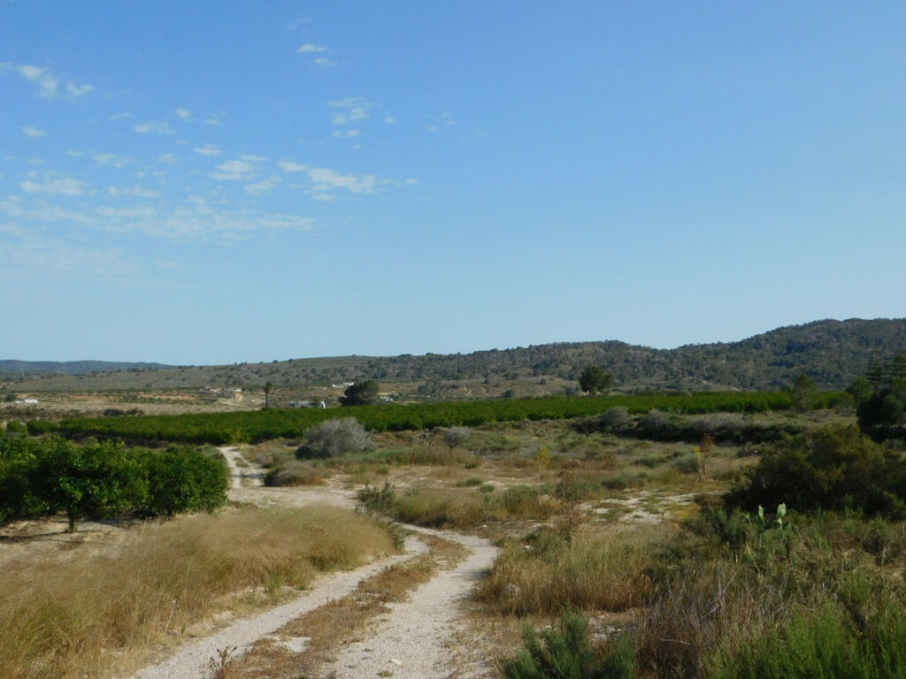 Land Torremendo Alicante - image 3