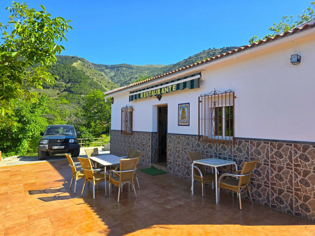Finca - Cortijo Canillas de Albaida Málaga - image 3