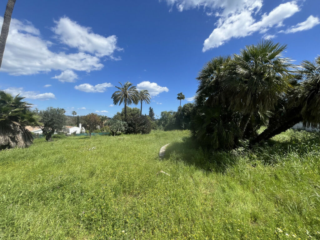 Land Sotogrande Costa Cádiz - image 3