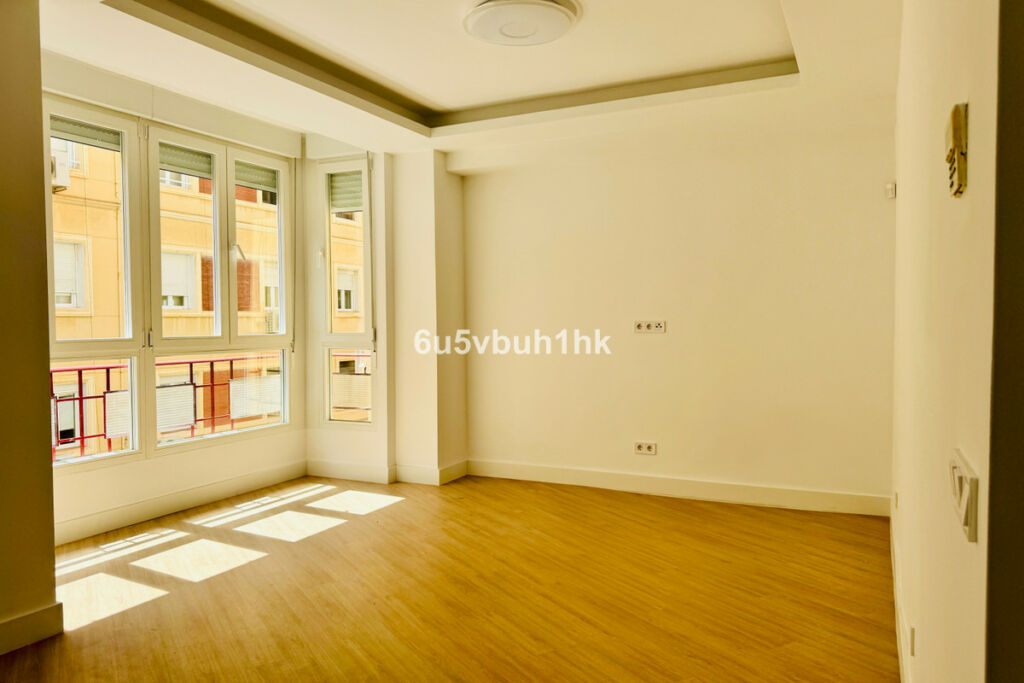 Ground Floor Apartment Málaga Málaga - image 3