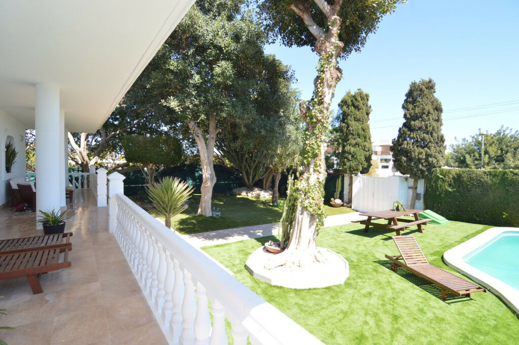 Detached Villa Torrevieja Alicante - image 3