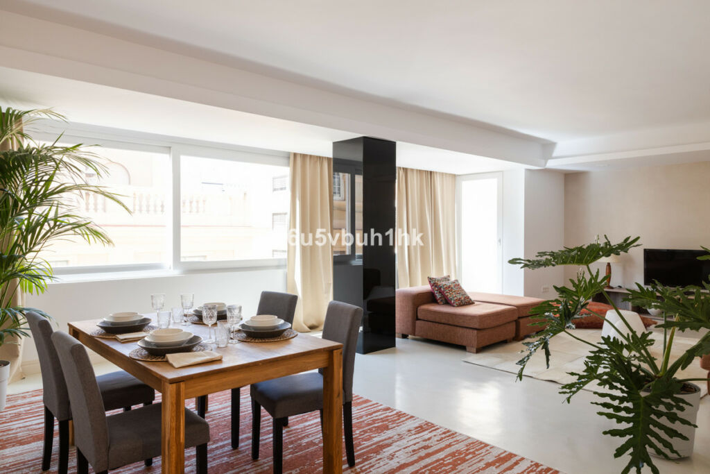 Middle Floor Apartment Málaga Málaga - image 4