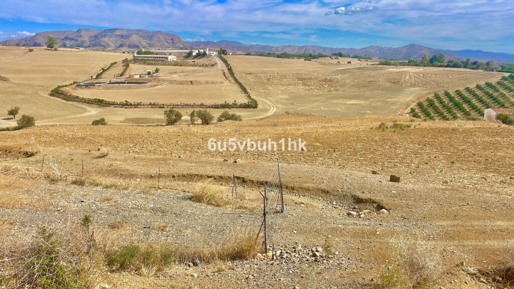 Land Cártama Málaga - image 3
