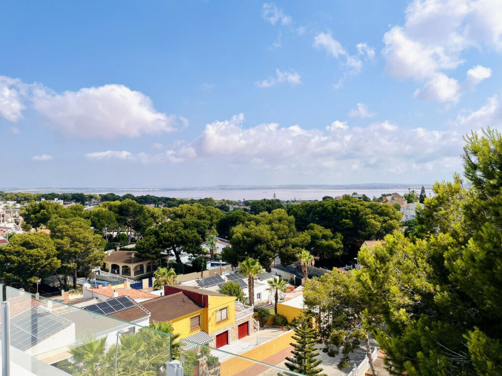 Detached Villa Los Balcones Alicante - image 3
