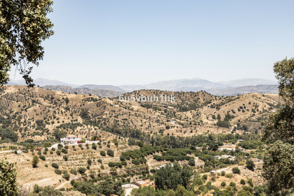 Land Coín Málaga - image 3