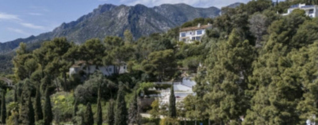Detached Villa Marbella Málaga - image 23