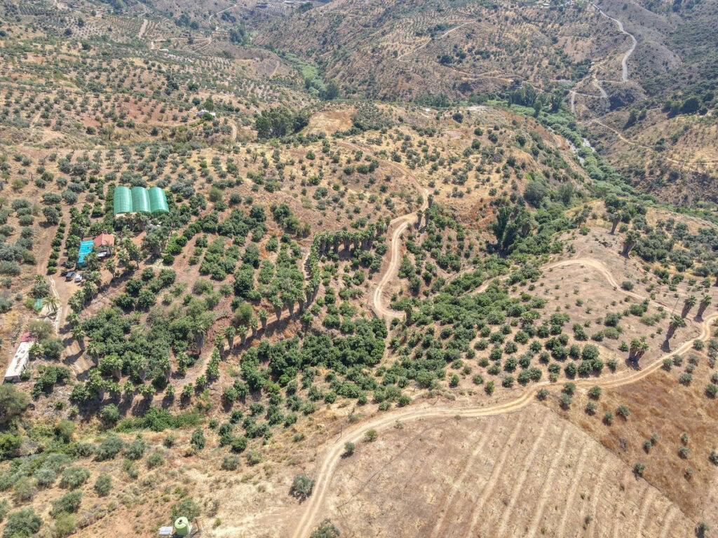 Farm Monda Málaga - image 30