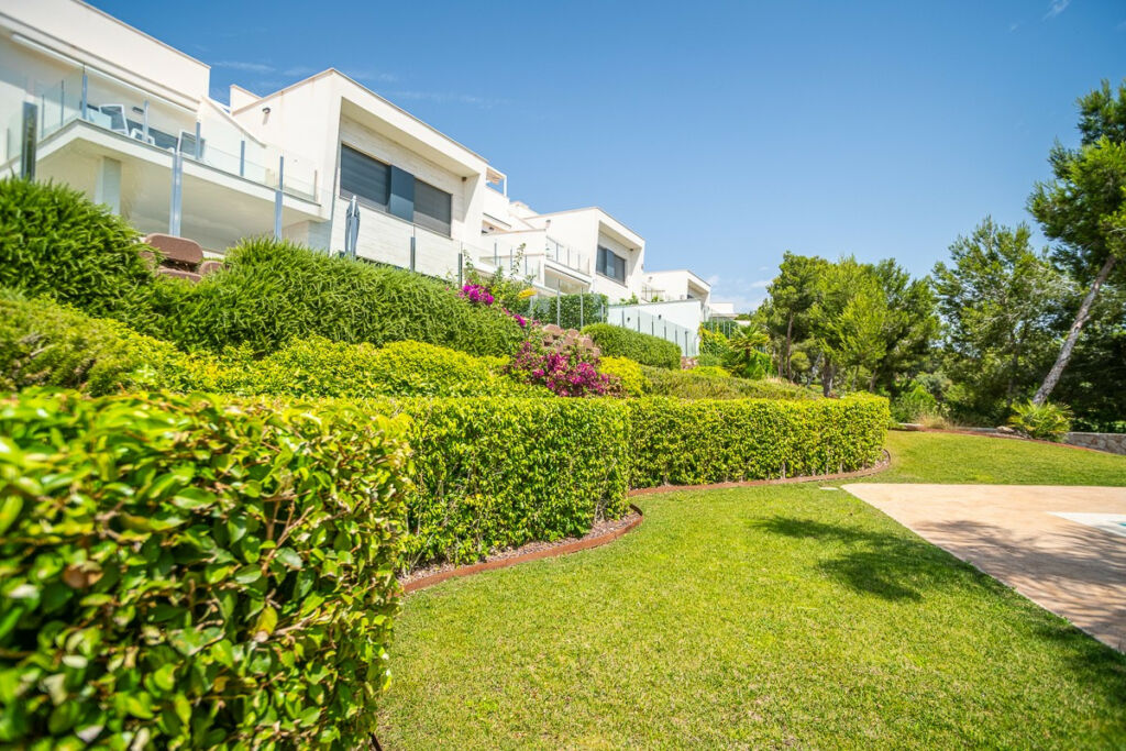 Ground Floor Apartment Pilar de la Horadada Alicante - image 30