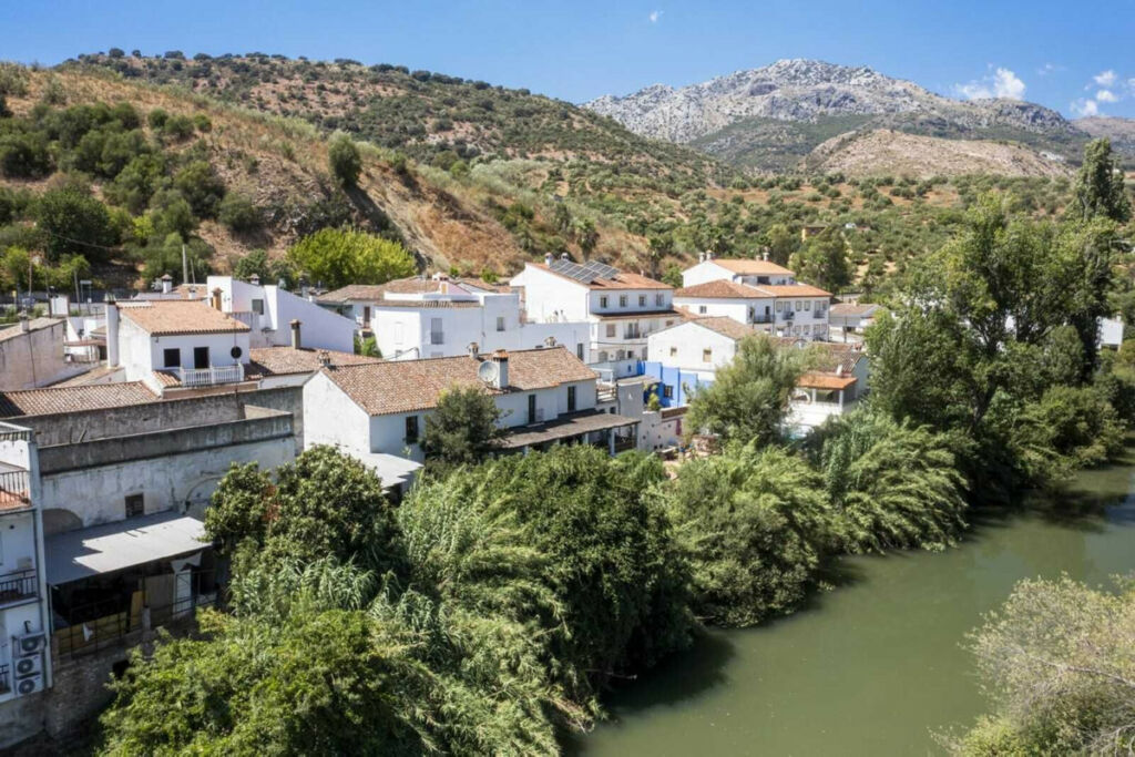 Detached Villa Cortes de la Frontera Málaga - image 30
